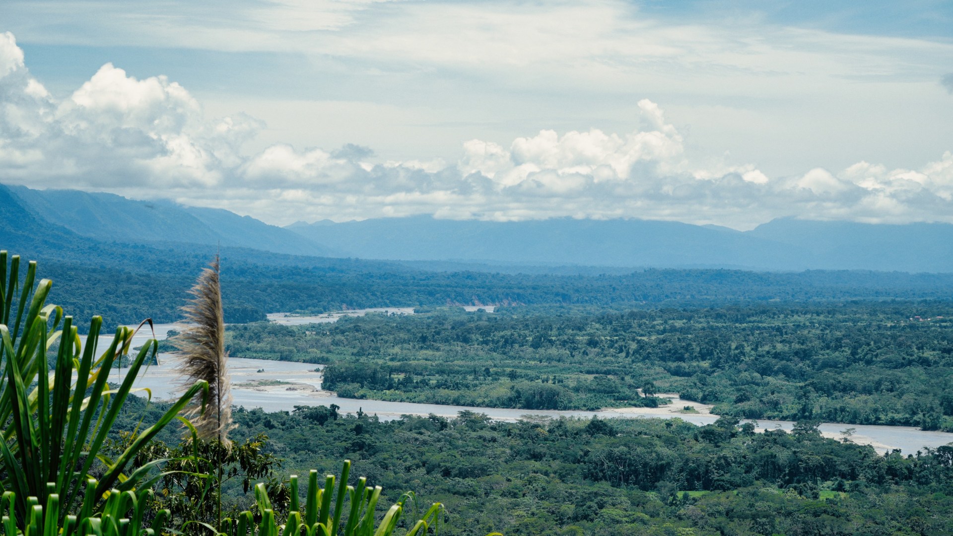 Dschungel-Abenteuer im Amazonas